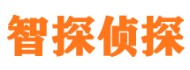 榕江市侦探